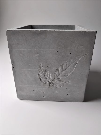 Stylish concrete pots choturtho Architects