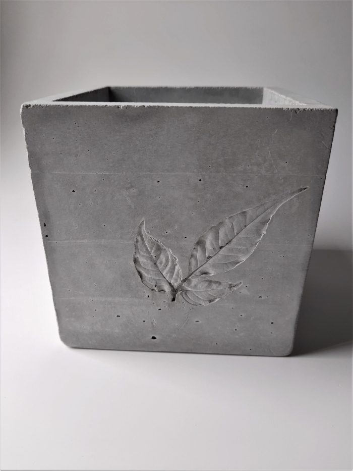 Stylish concrete pots choturtho Architects